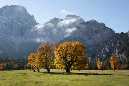 Rontalalm in Tirol tijdens de herfst