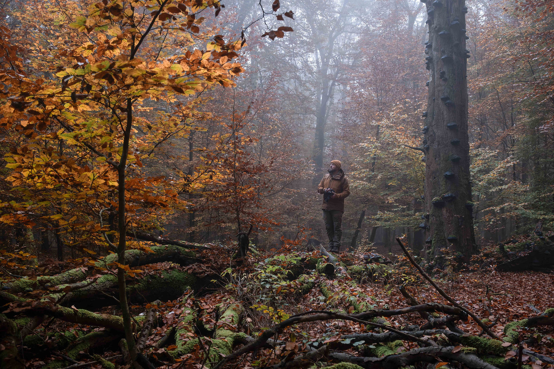 Vincent Croce Veluwe Fjällräven