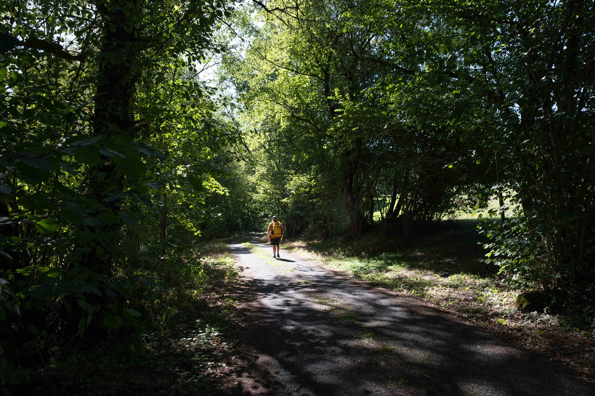wandelaar op de Wilheringer Weg