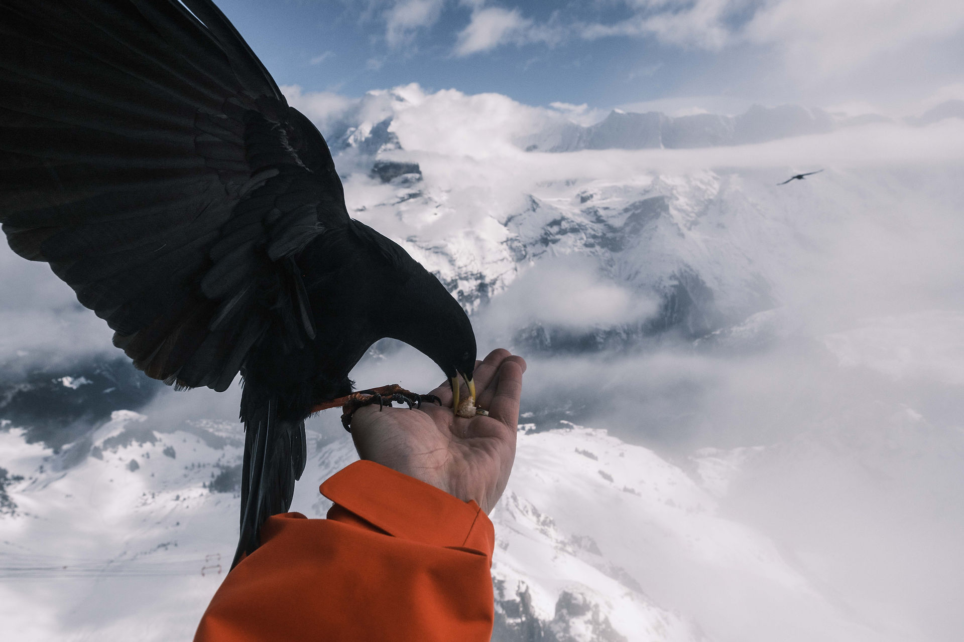 Birg Schilthorn Zwitserland