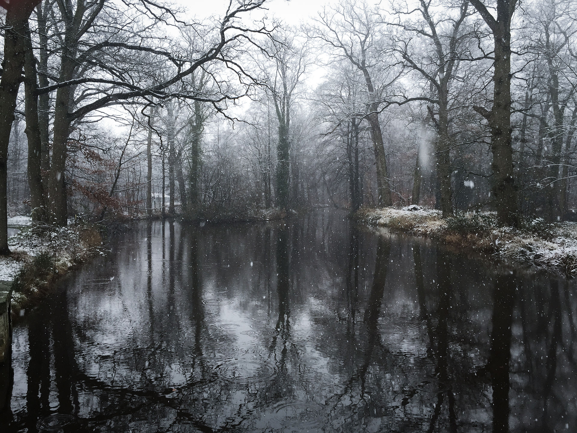 Winter in Twickel