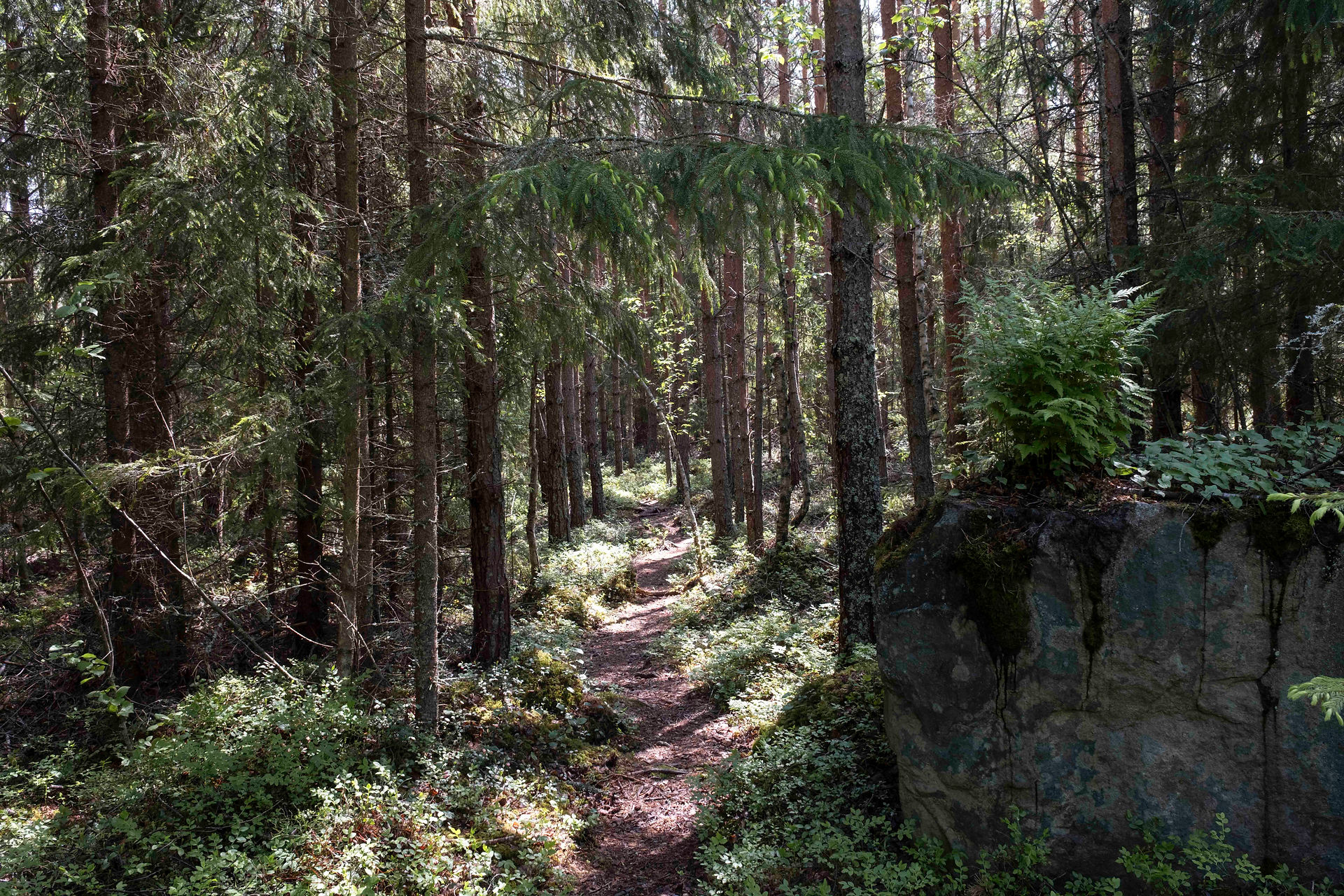 Landschap Kokkola