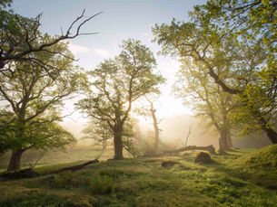 Uppland met Nicolina Kulander
