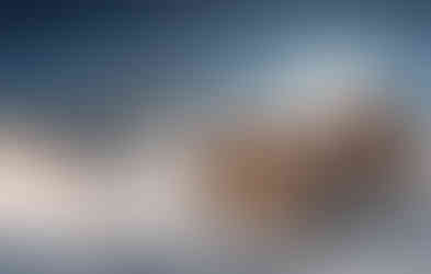 Blumental sneeuw Sylvia Michel