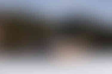 Wildsee Seefeld in Tirol