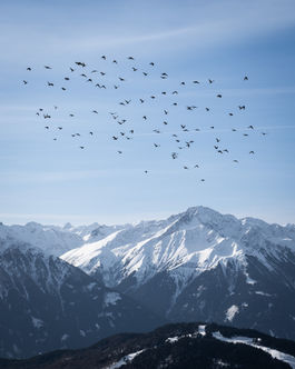 Seefeld in Tirol Rosshütte