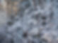 DSCF8743-bewerkt.jpg