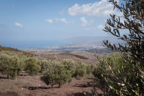 Akamas in Cyprus