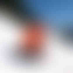 sneeuwschoenentocht Mürren Zwitserland