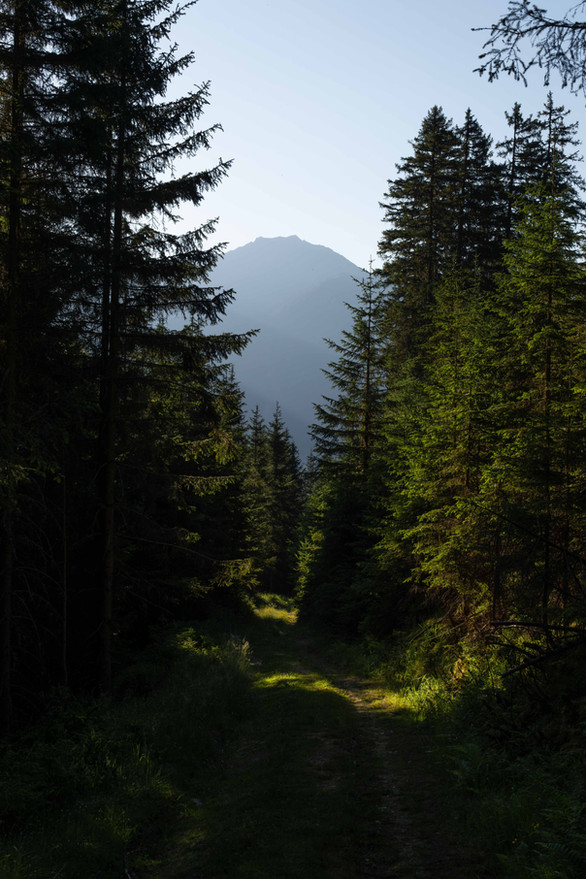wandeling naar de Vorderkaseralm