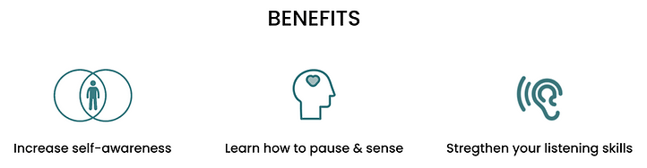 Benefits of the course. Pause and Sense