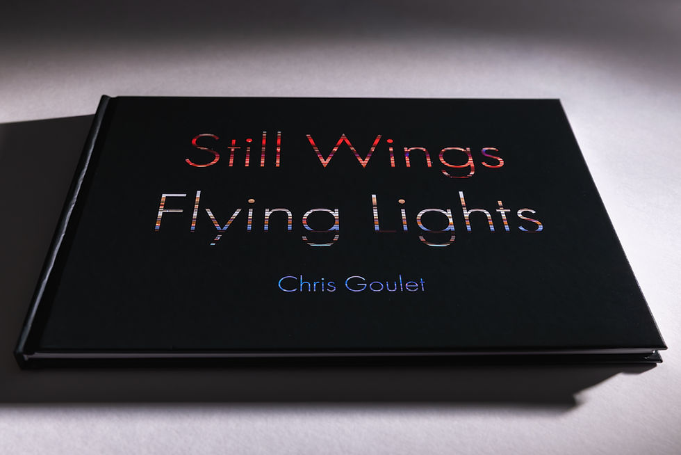 Thumbnail: Still Wings Flying Lights (Pre Order)