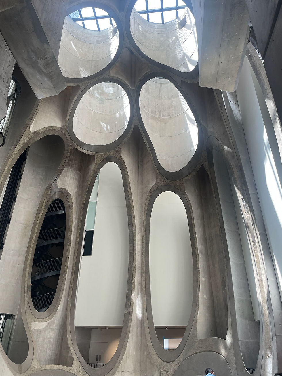 Having a background in architecture, I was enamored by the Zeitz Museum of Contemporary Art Africa (MOCAA). Designed by repurposing a grain silo at the V&A Waterfront, the architects and engineers sliced the silos to create navigable open space where abandoned silos once stood side by side. The architects hid staircases and elevators within the space of the silos and promoted interstitial moments throughout the museum. However the building itself is a reminder of colonial extraction, where grain was once shipped out so that wealth could be accumulated elsewhere. Today, the structure holds contemporary art from artists throughout the African Diaspora, and reclaims space both physically and symbolically. Many of the exhibitions were not gentle, they addressed identity, land, violence, memory, and resistance. It wasn’t a portrayal of Africa curated for outsiders’ comfort; it was complex, political, and deeply rooted in lived experiences. The museum made it impossible to separate aesthetics from history; beauty here was sharpened by honest reflections and untold truths. Standing inside Zeitz MOCAA, I began to understand that Cape Town’s story is not just about what happened in the past, but about who gets to narrate its history today.