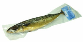 Mackerel Econom