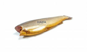 Semga Fish