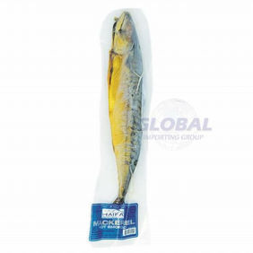 Mackerel XL