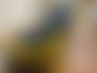 Hospital Discharge Service in Tampa: Skyline Transport Ensures a Safe and Smooth Transition