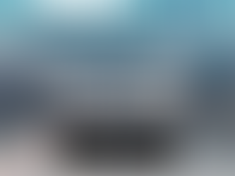 Bringing the Best to Tampa Bay: Skyline Transport Named NEMTAC’s 2025 Provider of the Year