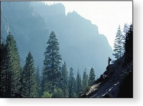 Drive & Ambition Forecast Report (Mars with the Lights)