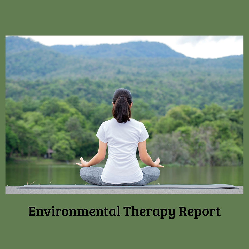 Environmental Therapy Report
