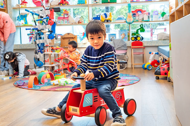 toylibrary_431584_08.jpg