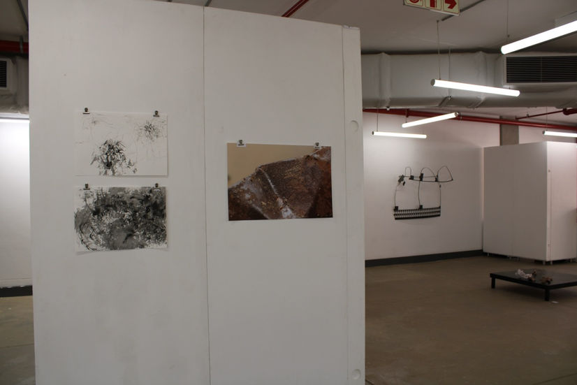 IMG_0604 Large.jpeg