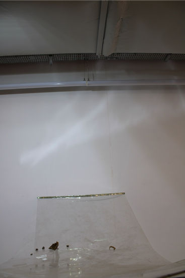 IMG_0639 Large.jpeg