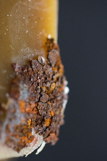 Audience assemblage of wax and rust