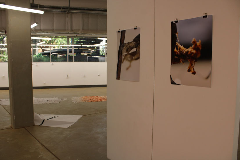IMG_0594 Large.jpeg