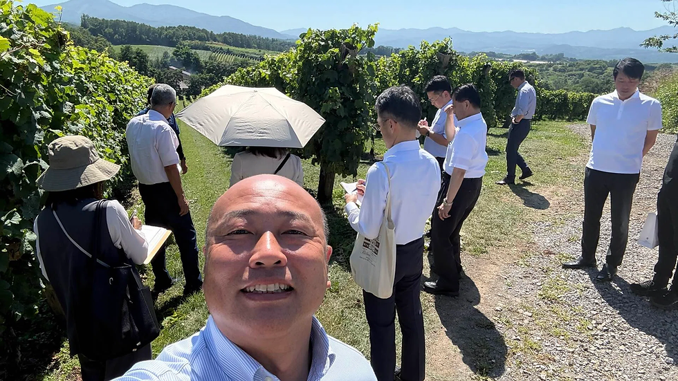 広大なワイン用葡萄畑を調査