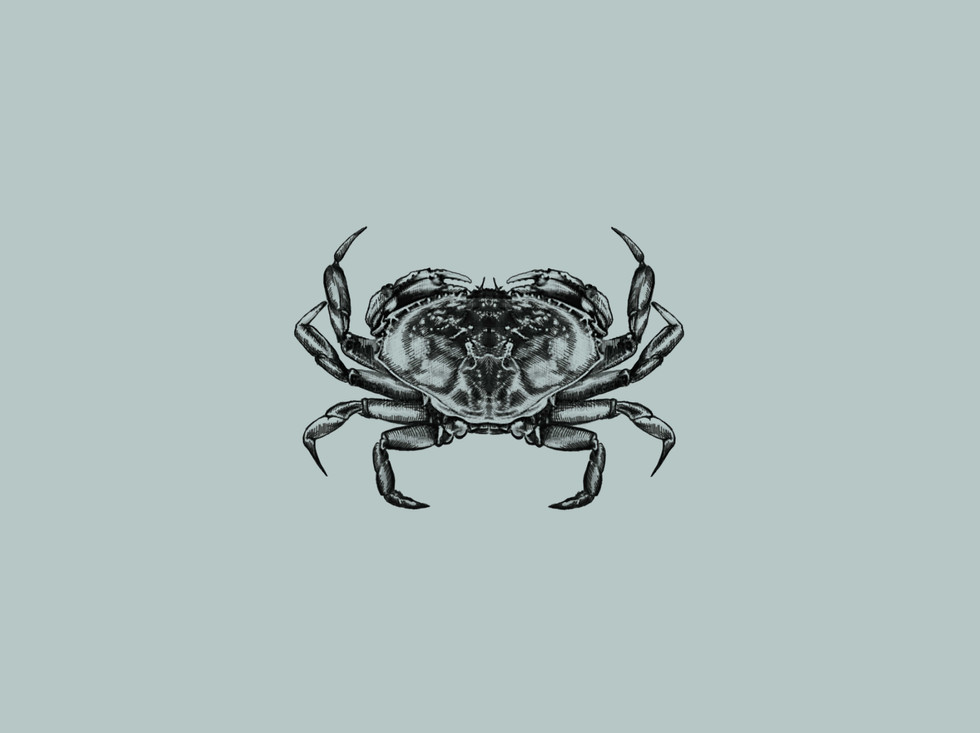 crabbericon.jpg