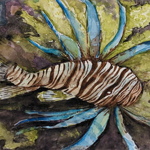 Lionfish