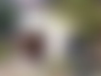 オープンアトリエやってます