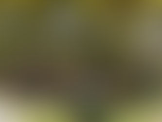 素敵なガーデンテーブル