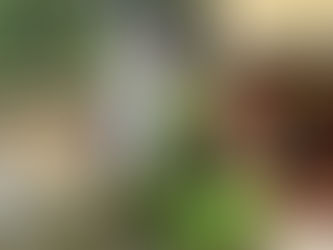 オープンアトリエ始まります