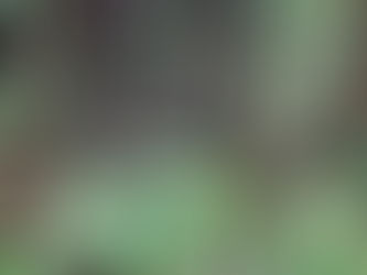 清里、萌木の村展が終了しました