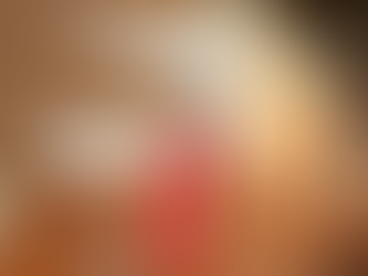 クリスマスがやってくる