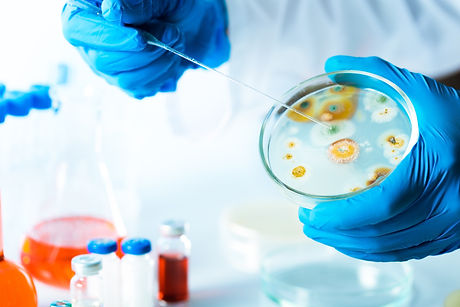 Bacteria..jpg