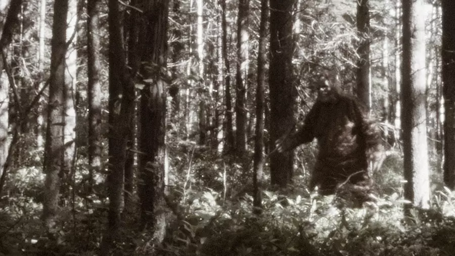 Ape or Hominid?