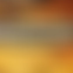 Why Did Jesus Come When He Did?