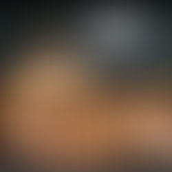 UAP Crash Retrieval in WW2 with The Vatican, US, and Private Industry.