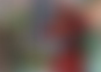 Destroying Idols - Alex Wilson