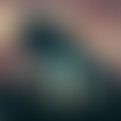 The Question of UFO Crash Retreival Programs and Disclosure