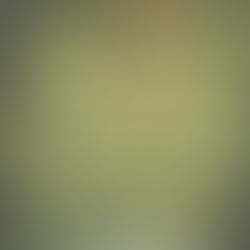 Our Lord’s Merciful Purposes