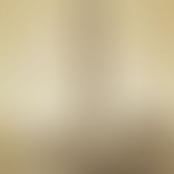 The New York Obelisk, Cleopatra's Needle