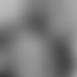 Karl Monies on the Exploration and Unforced Beauty that Roots Monies’ Jewelry in Nature