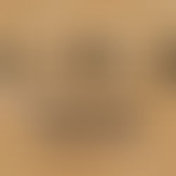 The Kairos Series: Indian American (Short) - AACC