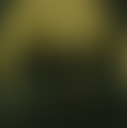 Invited To Amish Dinner: Discussing Their Culture & Life