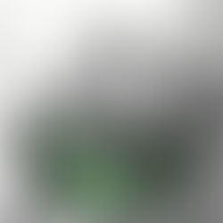 Theology Proper: God, The Son is God, The Holy Spirit is God (Session 8) - Dr. Robert Peterson