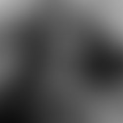 The Cradle of Ceramics in Mexico: The Ancient Tradition of Burnished Clay in the Tehuacán Valley.